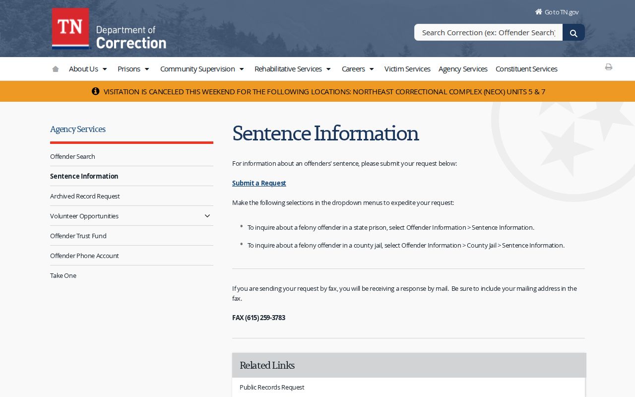 TDOC sentence-information choices for county jail and state prison felony cases